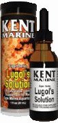 kent lugols solution