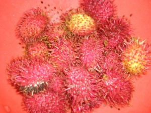 rambutans